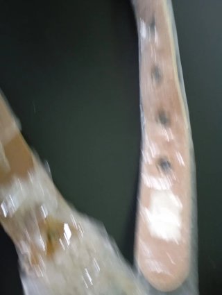Cintura Donna Iber Borse Beige