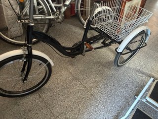 Triciclo con cesta