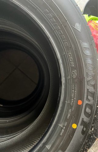 Neumático Dunlop Grandtrek PT30 225/60 R18 100H