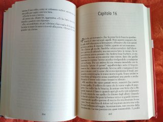 Le incredibili luci delle stelle