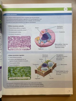 Biología y Geología 1 ESO : Proyecto construyen...
