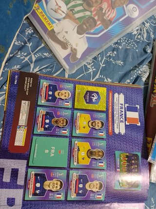 Álbum Panini FIFA World Cup Qatar 2022