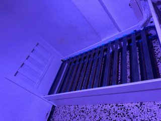 Cama nido blanca