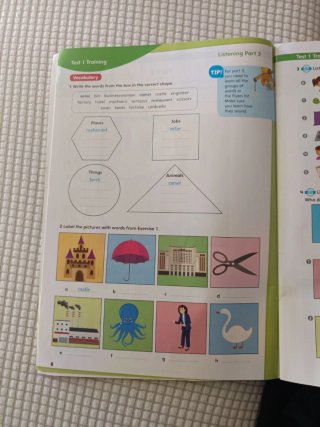 A2 Flyers Mini Trainer with Audio Download (Fun...