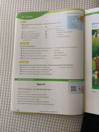 A2 Flyers Mini Trainer with Audio Download (Fun...