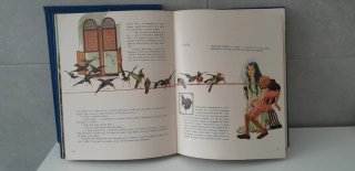 PINOCCHIO / CUORE / DAVID COPPERFIELD