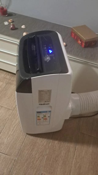 Pingüino Daitsu en perfecto estado