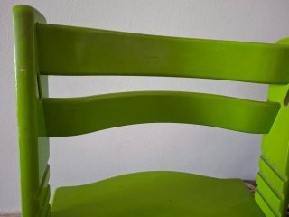 Trona evolutiva Stokke