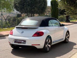 Volkswagen Beetle Cabrio 1.4 TSI 160cv DSG Design