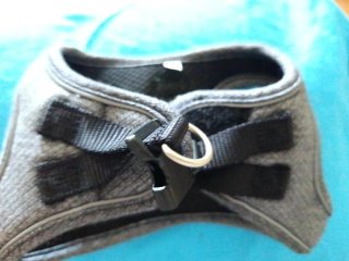 Arnés para perros pequeños Talla S