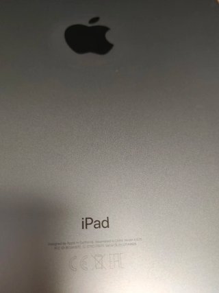 iPad Pro Plata + Apple Pencil