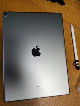 iPad Pro Plata + Apple Pencil