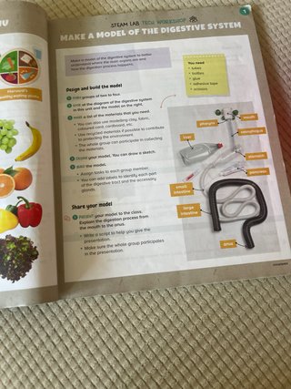 Natural and Social Science, 6 Primary, World Ma...