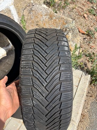 Cubiertas Michelin 225/45 R17 Alpine