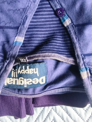 Sudadera Desigual fina chico