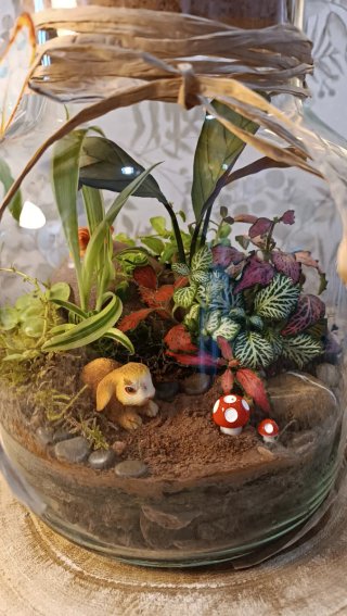 Terrario conejito