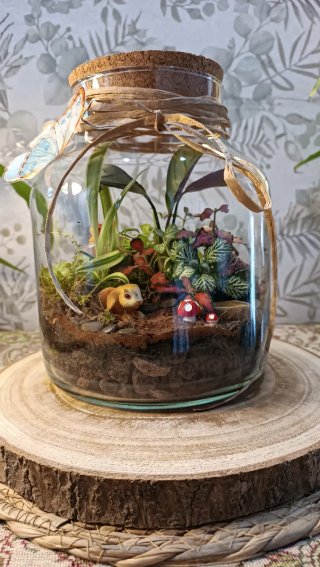 Terrario conejito