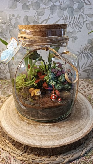 Terrario conejito