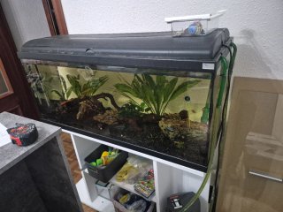 Acuario 180L completo con accesorios