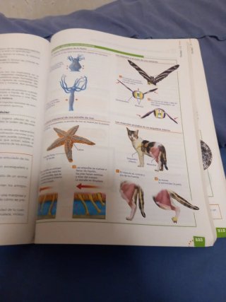Biología y geología, Bachillerato 1 Aprender es...