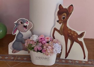 Alquiler de imagenes de personajes