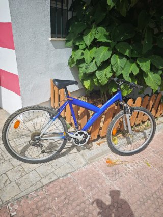 Bicicleta azul