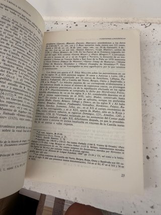 Libro académico de referencia para filología