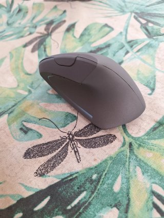 Ratón ergonómico Bluetooth USB C