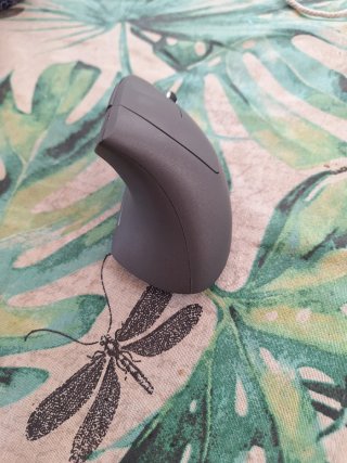 Ratón ergonómico Bluetooth USB C