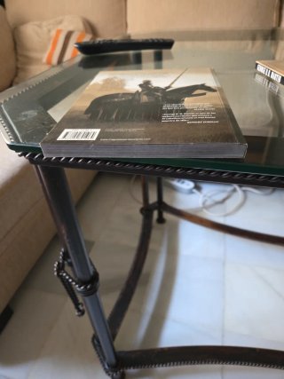 El caballero errante