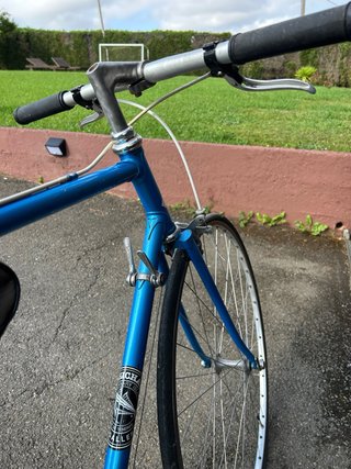 Bicicleta Clásica Zeus Paseo Azul