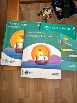 Libros de primaria santillana