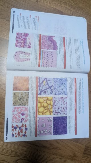 Biología y Geología 3º ESO. Libro del estudiant...