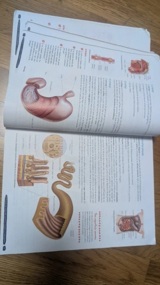 Biología y Geología 3º ESO. Libro del estudiant...