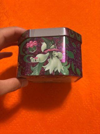 Scatola Pokèmon