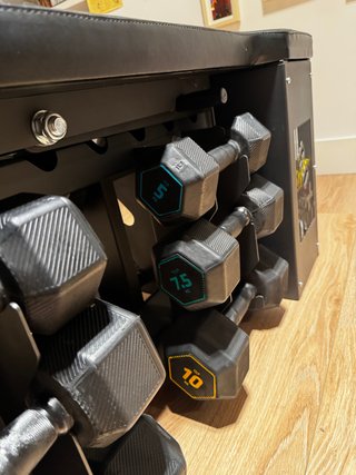 Banco ajustable con 5 pares de mancuernas
