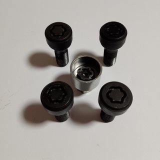 Juego USADO Antirrobos BMW M14 X 125 tipo flor