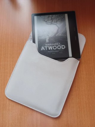 Kindle Oasis 10ª Gen + Scatola e Custodia