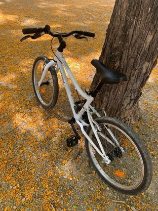 Bicicleta Infantil Decathlon Riverside 20