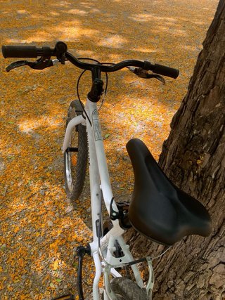 Bicicleta Infantil Decathlon Riverside 20