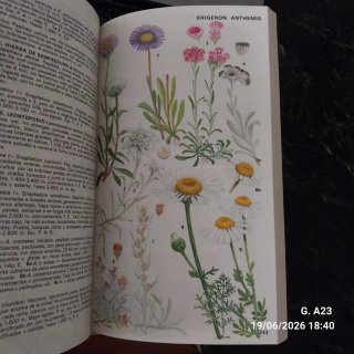 Guía de las flores alpinas de Europa