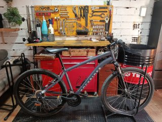 Bicicleta Rockrider Explorer 50