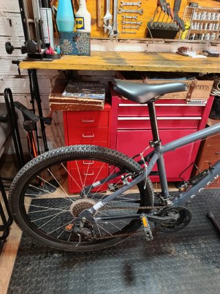 Bicicleta Rockrider Explorer 50