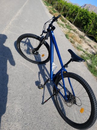 Bicicleta azul
