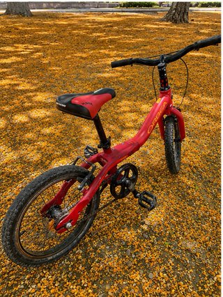 Bicicleta Orbea Grow 1 16” Roja Infantil