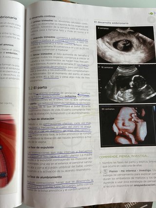 Biología y geología, 3 ESO, Operación mundo
