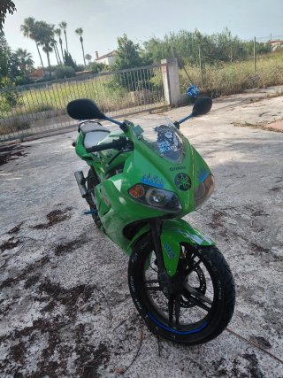 Yamaha TZR Verde Deportiva