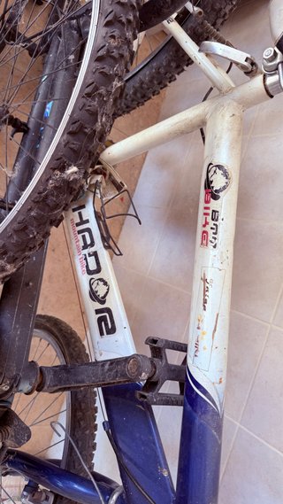 2 Bicicletas Montaña