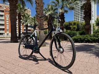 Bicicleta Gazelle Shimano 8 velocidades