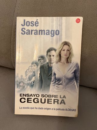 Ensayo sobre la ceguera
